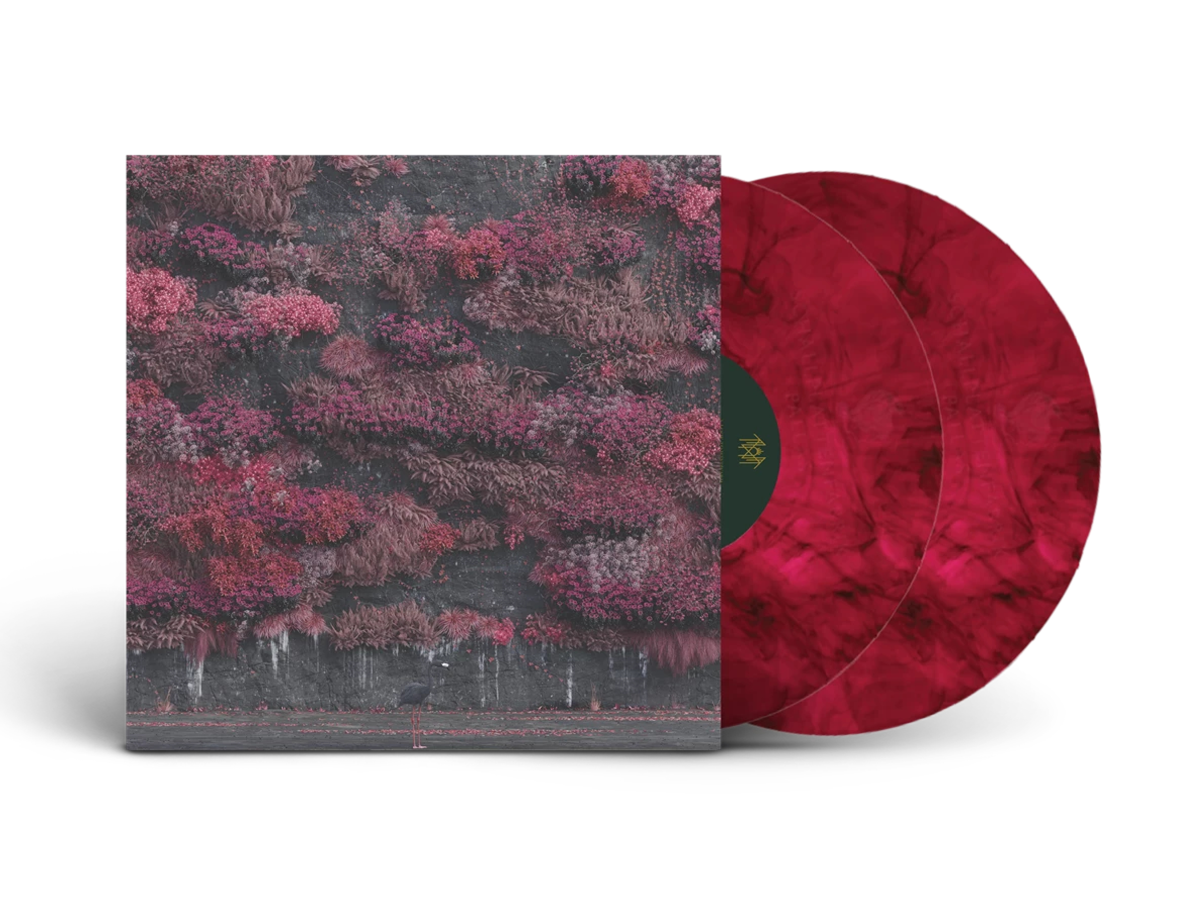 Limited Edition & hmv Exclusive Vinyl
