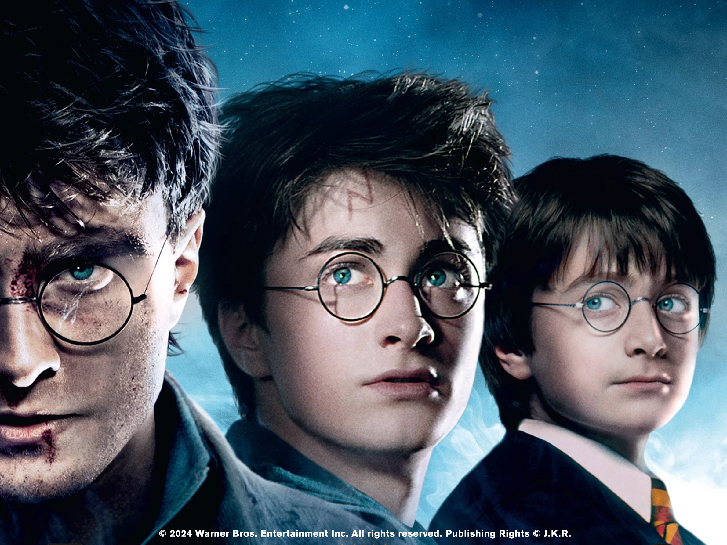 Wizarding World of Harry Potter Merchandise
